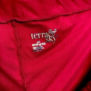 Terra and sky maroon stretchy pants